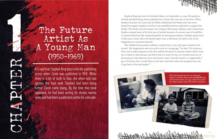 Stephen King: His Life, Work, and Influences (Young Readers' Edition) - Bev Vincent [KSIĄŻKA]