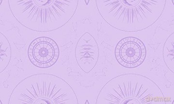 Sticker Studio: Apothecary: A Sticker Gallery for Modern Mystics - Chloe Standish [KSIĄŻKA]