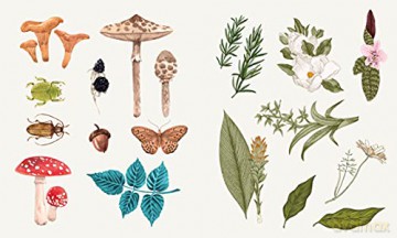 Sticker Studio: Apothecary: A Sticker Gallery for Modern Mystics - Chloe Standish [KSIĄŻKA]
