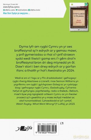 Stori Sydyn: Deffro'r Ddraig - Seimon Williams [KSIĄŻKA]