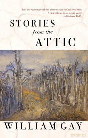 Stories from the Attic - William Gay [KSIĄŻKA]