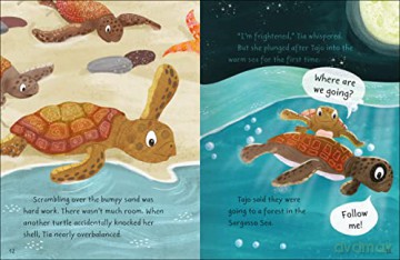 Stories from the Sea [KSIĄŻKA]
