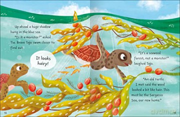 Stories from the Sea [KSIĄŻKA]