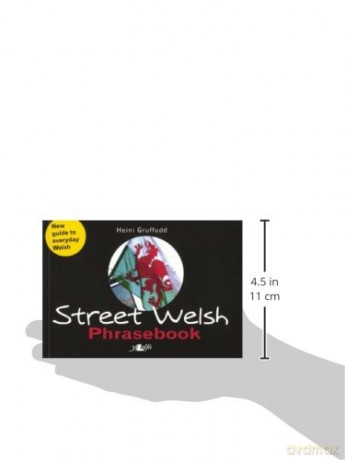Street Welsh - Phrasebook: The Welsh Phrasebook - Heini Gruffudd [KSIĄŻKA]