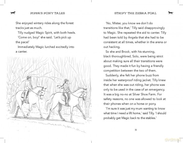 Stripy the Zebra Foal (Pippa's Pony Tales) - Pippa Funnell [KSIĄŻKA]