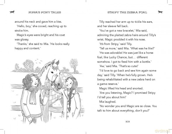 Stripy the Zebra Foal (Pippa's Pony Tales) - Pippa Funnell [KSIĄŻKA]