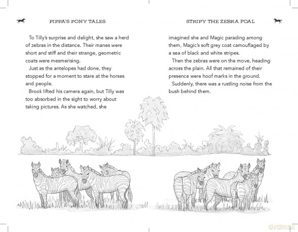 Stripy the Zebra Foal (Pippa's Pony Tales) - Pippa Funnell [KSIĄŻKA]