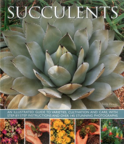 Succulents: An Illustrated Guide to Varieties, Cultivation and Care, with Step-By-Step Instructions and Over 145 Stunning Photographs - Terry Hewitt [KSIĄŻKA]