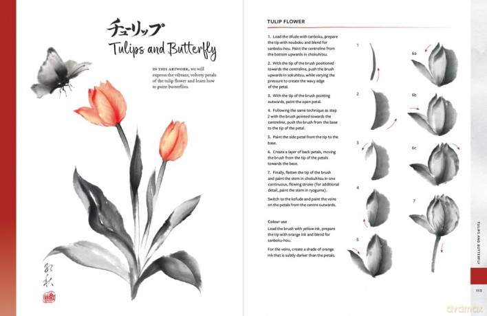 Sumi-e: The Mindful Art of Japanese Ink Painting - Akemi Lucas [KSIĄŻKA]