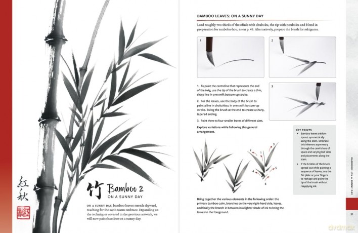 Sumi-e: The Mindful Art of Japanese Ink Painting - Akemi Lucas [KSIĄŻKA]