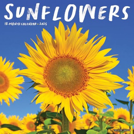 Sunflowers 2025 Wall [KSIĄŻKA]