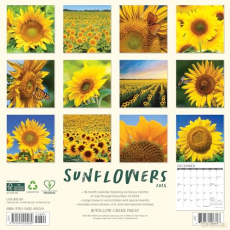 Sunflowers 2025 Wall [KSIĄŻKA]