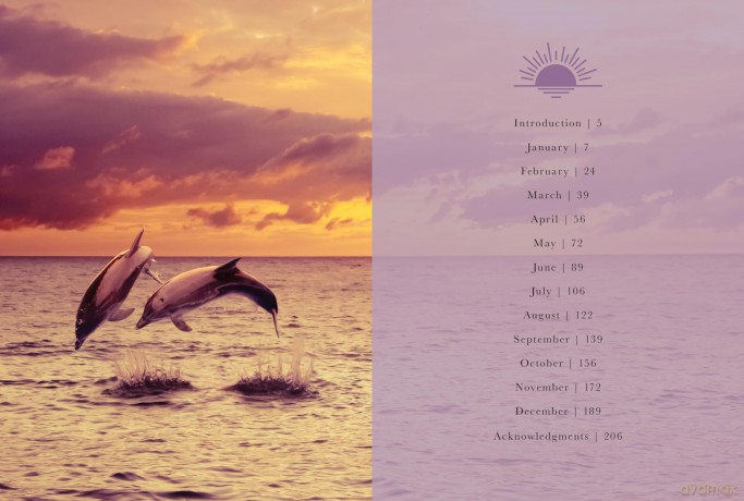 Sunset Gratitude: 365 Hopeful Meditations for Peaceful and Reflective Evenings All Year Long (Daily Gratitude) - Emily Silva [KSIĄŻKA]