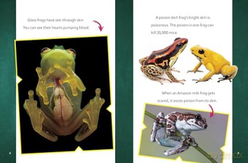 Super Surprising Trivia About Rainforest Animals (Super Surprising Trivia You Can't Resist) - Megan Cooley Peterson [KSIĄŻKA]