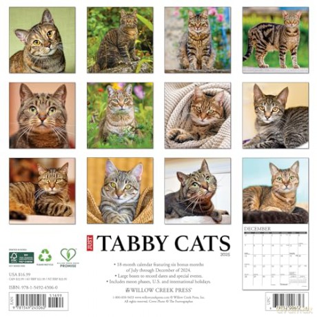Tabby Cats 2025 Wall [KSIĄŻKA]