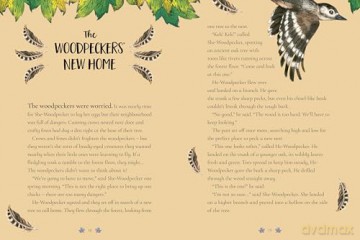 Tales From the Forest - Emily Hibbs [KSIĄŻKA]