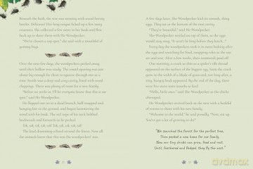 Tales From the Forest - Emily Hibbs [KSIĄŻKA]