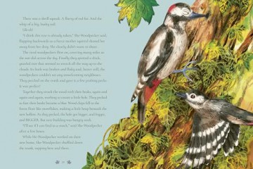 Tales From the Forest - Emily Hibbs [KSIĄŻKA]