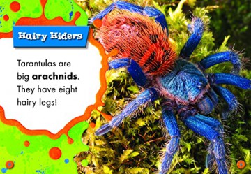 Tarantulas (Creepy Crawlies) - Kari Schuetz [KSIĄŻKA]