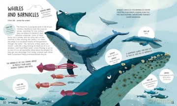 Teamwork: Learning from Animals - Tecnoscienza [KSIĄŻKA]