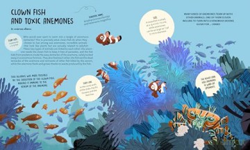 Teamwork: Learning from Animals - Tecnoscienza [KSIĄŻKA]