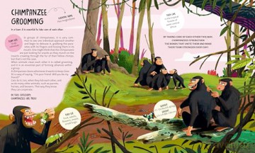 Teamwork: Learning from Animals - Tecnoscienza [KSIĄŻKA]
