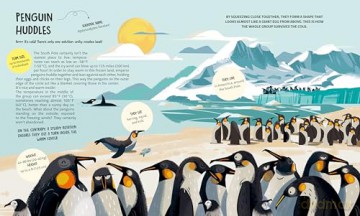 Teamwork: Learning from Animals - Tecnoscienza [KSIĄŻKA]