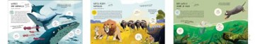 Teamwork: Learning from Animals - Tecnoscienza [KSIĄŻKA]
