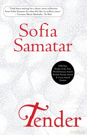 Tender: Stories - Sofia Samatar [KSIĄŻKA]