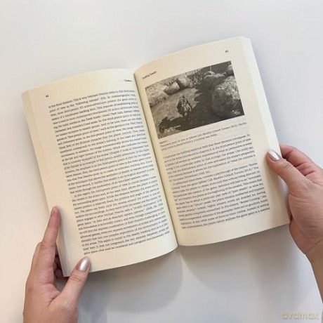 The Aesthetics of Stealth: Digital Culture, Video Games, and the Politics of Perception - Toni Pape [KSIĄŻKA]