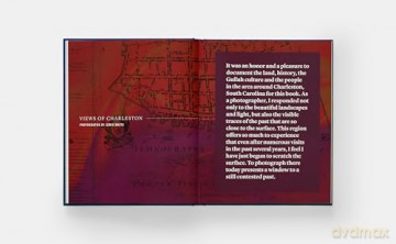The African Ancestors Garden: History and Memory at the International African American Museum - Walter Hood [KSIĄŻKA]