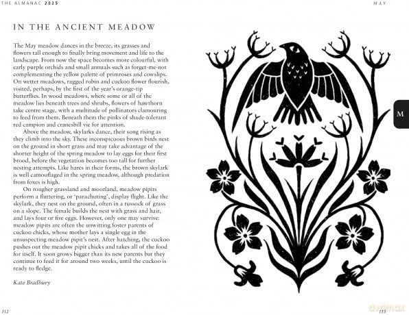 The Almanac: A Seasonal Guide to 2025 - Lia Leendertz [KSIĄŻKA]
