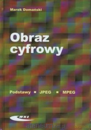 Obraz cyfrowy [KSĄŻKA]
