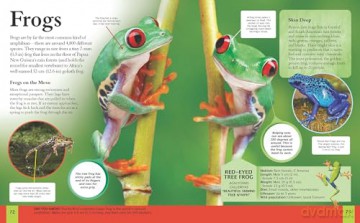 The Animal Book: Take a Walk on the Wild Side! (Children's Discovery Library) - Dr Michael Leach [KSIĄŻKA]