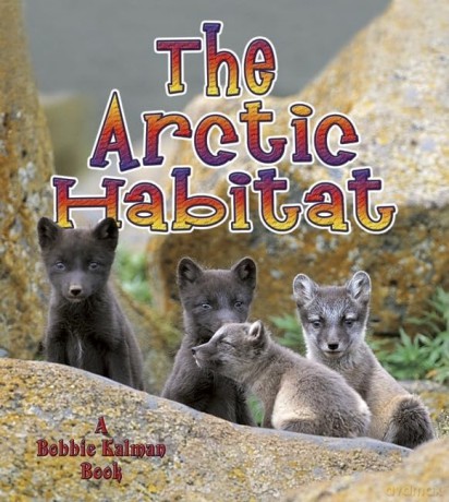 The Arctic Habitat (Introducing Habitats) - Molly Aloian [KSIĄŻKA]