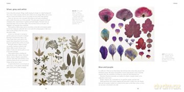 The Art of Pressed Leaves: New Ideas in Pressed Leaves and Flowers - Jennie Ashmore [KSIĄŻKA]