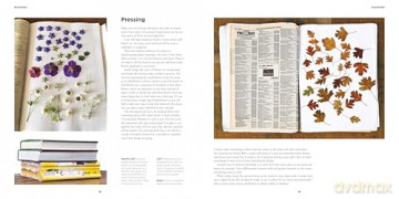 The Art of Pressed Leaves: New Ideas in Pressed Leaves and Flowers - Jennie Ashmore [KSIĄŻKA]