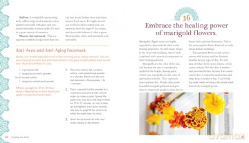 The Ayurveda Way: 108 Practices from the World's Oldest Healing System for Better Sleep, Less Stress, Optimal Digestion, and More - Ananta Ripa Ajmera [KSIĄŻKA]