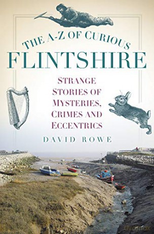 The A-Z of Curious Flintshire: Strange Stories of Mysteries, Crimes and Eccentrics - David Rowe [KSIĄŻKA]