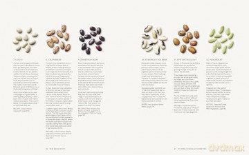 The Bean Book: 100 Recipes for Cooking with All Kinds of Beans, from the Rancho Gordo Kitchen: 100 Recipes for Cooking with All Kinds of Beans, from the Rancho Gordo Kitchen - Steve Sando [KSIĄŻKA]
