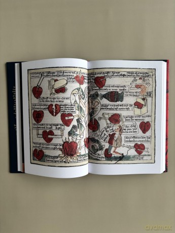 The Beating Heart: The Art and Science of Our Most Vital Organ - Robin Choudhury [KSIĄŻKA]