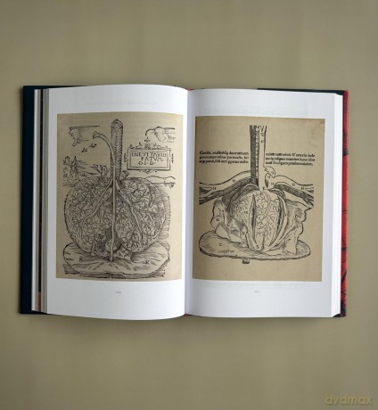 The Beating Heart: The Art and Science of Our Most Vital Organ - Robin Choudhury [KSIĄŻKA]