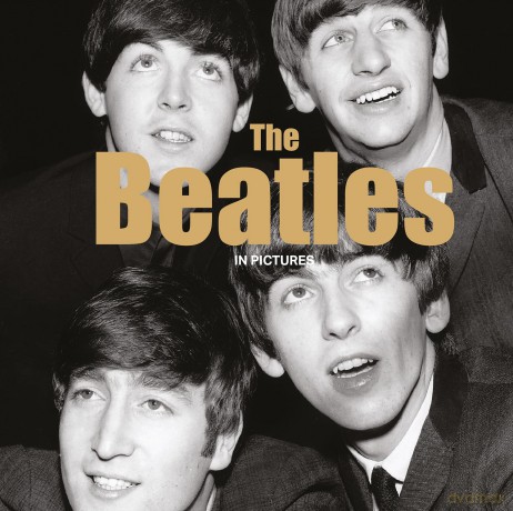 The Beatles In Pictures [KSIĄŻKA]