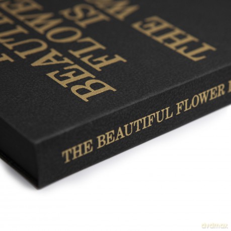 The Beautiful Flower is the World - Jerry Hsu [KSIĄŻKA]