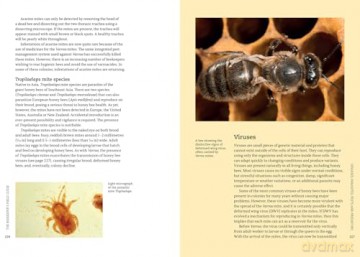 The Beekeeper's Field Guide: Everything you need to know, from honey to the hive - Meredith May [KSIĄŻKA]