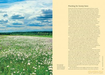 The Beekeeper's Field Guide: Everything you need to know, from honey to the hive - Meredith May [KSIĄŻKA]