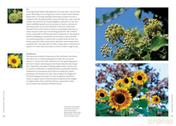 The Beekeeper's Field Guide: Everything you need to know, from honey to the hive - Meredith May [KSIĄŻKA]