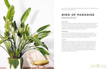 The Big Book of House Plants - Emma Sibley [KSIĄŻKA]