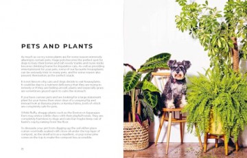 The Big Book of House Plants - Emma Sibley [KSIĄŻKA]