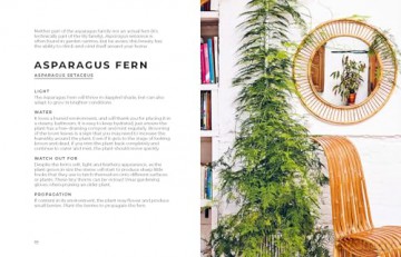 The Big Book of House Plants - Emma Sibley [KSIĄŻKA]